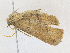  ( - CBG-A21657-D04)  @11 [ ] CreativeCommons - Attribution Share - Alike (2023) CBG Photography Group Centre for Biodiversity Genomics