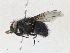  ( - CBG-A21657-D06)  @11 [ ] CreativeCommons - Attribution Share - Alike (2023) CBG Photography Group Centre for Biodiversity Genomics