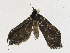  ( - CBG-A21657-E01)  @11 [ ] CreativeCommons - Attribution Share - Alike (2023) CBG Photography Group Centre for Biodiversity Genomics