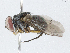  ( - BIOUG91392-B08)  @11 [ ] CreativeCommons - Attribution (2023) CBG Photography Group Centre for Biodiversity Genomics