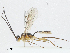  ( - BIOUG91392-G07)  @11 [ ] CreativeCommons - Attribution (2023) CBG Photography Group Centre for Biodiversity Genomics