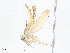  ( - CBG-A04562-D07)  @11 [ ] CreativeCommons - Attribution (2023) CBG Photography Group Centre for Biodiversity Genomics