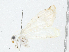  ( - CBG-A04562-D12)  @11 [ ] CreativeCommons - Attribution (2023) CBG Photography Group Centre for Biodiversity Genomics