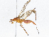  ( - CBG-A04562-E05)  @11 [ ] CreativeCommons - Attribution (2023) CBG Photography Group Centre for Biodiversity Genomics