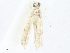  ( - CBG-A05358-E07)  @11 [ ] CreativeCommons - Attribution (2023) CBG Photography Group Centre for Biodiversity Genomics