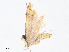  ( - CBG-A13282-C10)  @11 [ ] CreativeCommons - Attribution Share - Alike (2023) CBG Photography Group Centre for Biodiversity Genomics