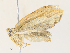  ( - CBG-A28427-A03)  @11 [ ] CreativeCommons - Attribution Share - Alike (2024) CBG Photography Group Centre for Biodiversity Genomics