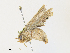  ( - CBG-A28427-G04)  @11 [ ] CreativeCommons - Attribution Share - Alike (2024) CBG Photography Group Centre for Biodiversity Genomics