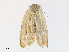  ( - CBG-A28428-G03)  @11 [ ] CreativeCommons - Attribution Share - Alike (2024) CBG Photography Group Centre for Biodiversity Genomics
