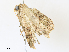  ( - CBG-A30057-A08)  @11 [ ] CreativeCommons - Attribution Share - Alike (2024) CBG Photography Group Centre for Biodiversity Genomics