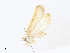  ( - CBG-A30057-A11)  @11 [ ] CreativeCommons - Attribution Share - Alike (2024) CBG Photography Group Centre for Biodiversity Genomics