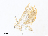  ( - CBG-A30057-A12)  @11 [ ] CreativeCommons - Attribution Share - Alike (2024) CBG Photography Group Centre for Biodiversity Genomics