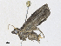  ( - CBG-A30057-D04)  @11 [ ] CreativeCommons - Attribution Share - Alike (2024) CBG Photography Group Centre for Biodiversity Genomics