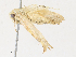  ( - CBG-A30058-A07)  @11 [ ] CreativeCommons - Attribution Share - Alike (2024) CBG Photography Group Centre for Biodiversity Genomics