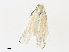  ( - CBG-A30058-C09)  @11 [ ] CreativeCommons - Attribution Share - Alike (2024) CBG Photography Group Centre for Biodiversity Genomics