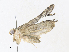  ( - CBG-A30058-C10)  @11 [ ] CreativeCommons - Attribution Share - Alike (2024) CBG Photography Group Centre for Biodiversity Genomics