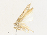  ( - CBG-A30058-E01)  @11 [ ] CreativeCommons - Attribution Share - Alike (2024) CBG Photography Group Centre for Biodiversity Genomics