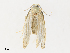  ( - CBG-A30058-E07)  @11 [ ] CreativeCommons - Attribution Share - Alike (2024) CBG Photography Group Centre for Biodiversity Genomics