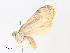  ( - CBG-A30058-E11)  @11 [ ] CreativeCommons - Attribution Share - Alike (2024) CBG Photography Group Centre for Biodiversity Genomics