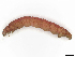  ( - CBG-A30058-H07)  @11 [ ] CreativeCommons - Attribution Share-Alike (2024) CBG Photography Group Centre for Biodiversity Genomics