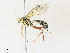  ( - CBG-A30059-E06)  @11 [ ] CreativeCommons - Attribution Share - Alike (2024) CBG Photography Group Centre for Biodiversity Genomics