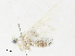 ( - CBG-A30059-F08)  @11 [ ] CreativeCommons - Attribution Share - Alike (2024) CBG Photography Group Centre for Biodiversity Genomics