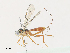  ( - CBG-A30059-G06)  @11 [ ] CreativeCommons - Attribution Share - Alike (2024) CBG Photography Group Centre for Biodiversity Genomics
