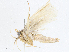  ( - CBG-A04565-F06)  @11 [ ] CreativeCommons - Attribution (2023) CBG Photography Group Centre for Biodiversity Genomics
