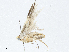  ( - CBG-A04565-F10)  @11 [ ] CreativeCommons - Attribution (2023) CBG Photography Group Centre for Biodiversity Genomics