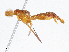  ( - CBG-A04580-A05)  @11 [ ] CreativeCommons - Attribution (2023) CBG Photography Group Centre for Biodiversity Genomics