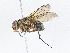  ( - CBG-A04580-C07)  @11 [ ] CreativeCommons - Attribution (2023) CBG Photography Group Centre for Biodiversity Genomics