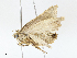  ( - CBG-A05361-G09)  @11 [ ] CreativeCommons - Attribution (2023) CBG Photography Group Centre for Biodiversity Genomics
