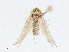  ( - CBG-A05362-F02)  @11 [ ] CreativeCommons - Attribution (2023) CBG Photography Group Centre for Biodiversity Genomics