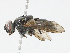 ( - CBG-A13228-D08)  @11 [ ] CreativeCommons - Attribution Share - Alike (2023) CBG Photography Group Centre for Biodiversity Genomics