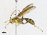  ( - CBG-A13357-A02)  @11 [ ] CreativeCommons - Attribution Share-Alike (2023) CBG Photography Group Centre for Biodiversity Genomics