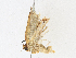  ( - CBG-A13359-E12)  @11 [ ] CreativeCommons - Attribution Share-Alike (2023) CBG Photography Group Centre for Biodiversity Genomics