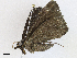  ( - CBG-A13360-C02)  @11 [ ] CreativeCommons - Attribution Share-Alike (2023) CBG Photography Group Centre for Biodiversity Genomics