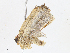  ( - CBG-A14973-B05)  @11 [ ] CreativeCommons - Attribution Share-Alike (2023) CBG Photography Group Centre for Biodiversity Genomics