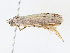  ( - CBG-A14973-D10)  @11 [ ] CreativeCommons - Attribution Share-Alike (2023) CBG Photography Group Centre for Biodiversity Genomics