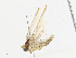  ( - CBG-A14981-B06)  @11 [ ] CreativeCommons - Attribution Share-Alike (2023) CBG Photography Group Centre for Biodiversity Genomics