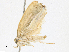 ( - CBG-A17541-C06)  @11 [ ] CreativeCommons - Attribution Share-Alike (2023) CBG Photography Group Centre for Biodiversity Genomics