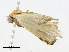  ( - CBG-A17541-F07)  @11 [ ] CreativeCommons - Attribution Share-Alike (2023) CBG Photography Group Centre for Biodiversity Genomics