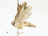  ( - CBG-A17542-G08)  @11 [ ] CreativeCommons - Attribution Share-Alike (2023) CBG Photography Group Centre for Biodiversity Genomics
