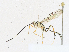  ( - CBG-A17544-A01)  @11 [ ] CreativeCommons - Attribution Share-Alike (2023) CBG Photography Group Centre for Biodiversity Genomics
