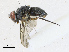  ( - CBG-A17547-B02)  @11 [ ] CreativeCommons - Attribution Share-Alike (2023) CBG Photography Group Centre for Biodiversity Genomics