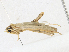  ( - CBG-A18341-A12)  @11 [ ] CreativeCommons - Attribution Share-Alike (2023) CBG Photography Group Centre for Biodiversity Genomics