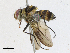  ( - CBG-A18342-B02)  @11 [ ] CreativeCommons - Attribution Share-Alike (2023) CBG Photography Group Centre for Biodiversity Genomics