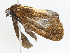  ( - CBG-A04568-A04)  @11 [ ] CreativeCommons - Attribution (2023) CBG Photography Group Centre for Biodiversity Genomics