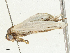  ( - CBG-A04583-H01)  @11 [ ] CreativeCommons - Attribution (2023) CBG Photography Group Centre for Biodiversity Genomics