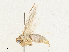  ( - CBG-A04583-H06)  @11 [ ] CreativeCommons - Attribution (2023) CBG Photography Group Centre for Biodiversity Genomics